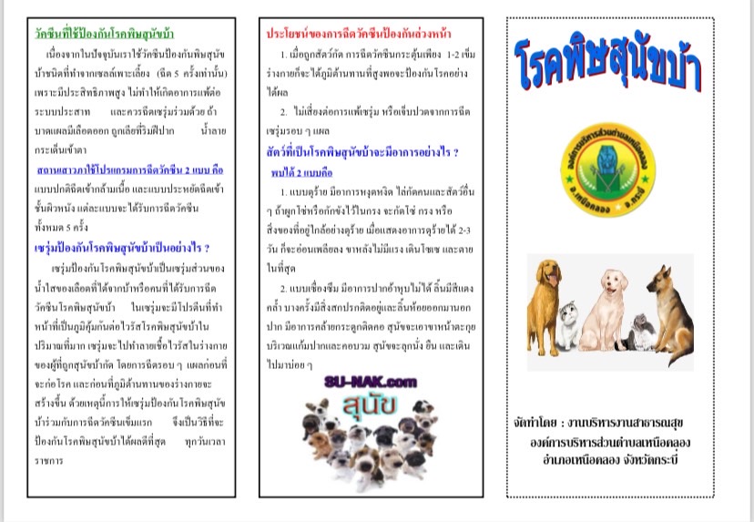 ประชาสัมพันธ์โครงการฉีดวัคซีนป้องกันโรคพิษสุนัขบ้า