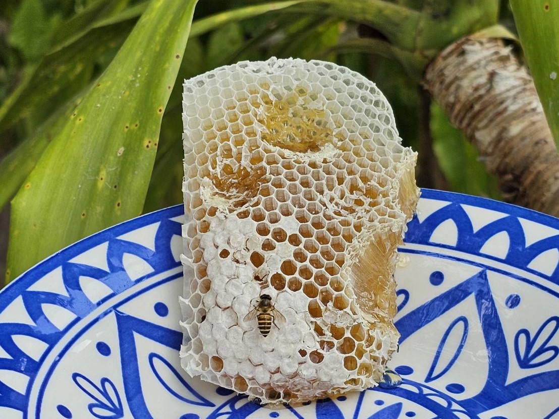 ผลิตภัณฑ์จากผึ้ง โดยวิสาหกิจชุมชนกลุ่มเลี้ยงผึ้งบ้านเขาแก้ว
