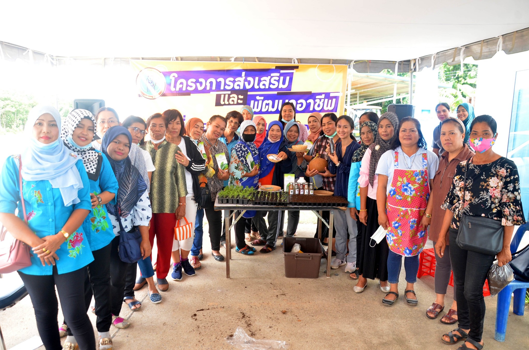 โครงการส่งเสริมและพัฒนาอาชีพ